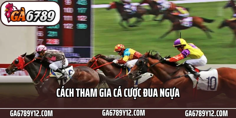 Đua Ngựa Ga6789 - Tăng Tốc Trải Nghiệm Cá Cược Thể Thao 2 Cách tham gia cá cược đua ngựa