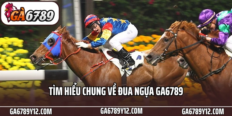 Đua Ngựa Ga6789 - Tăng Tốc Trải Nghiệm Cá Cược Thể Thao 1 Tìm hiểu chung về đua ngựa Ga6789